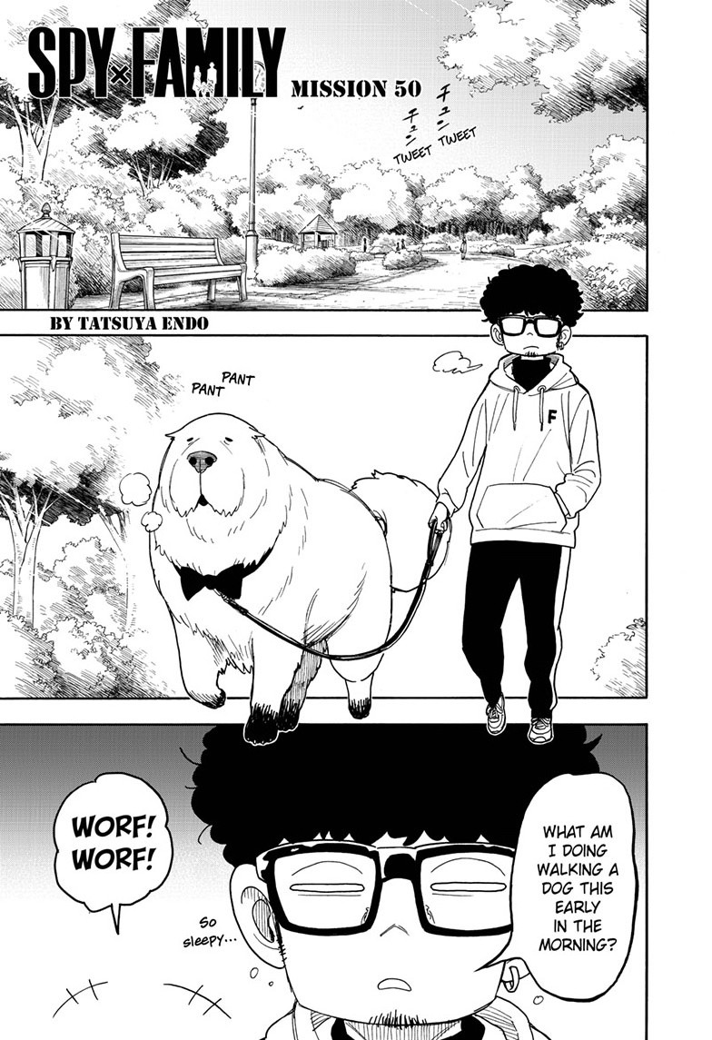spy x family, ch. 50