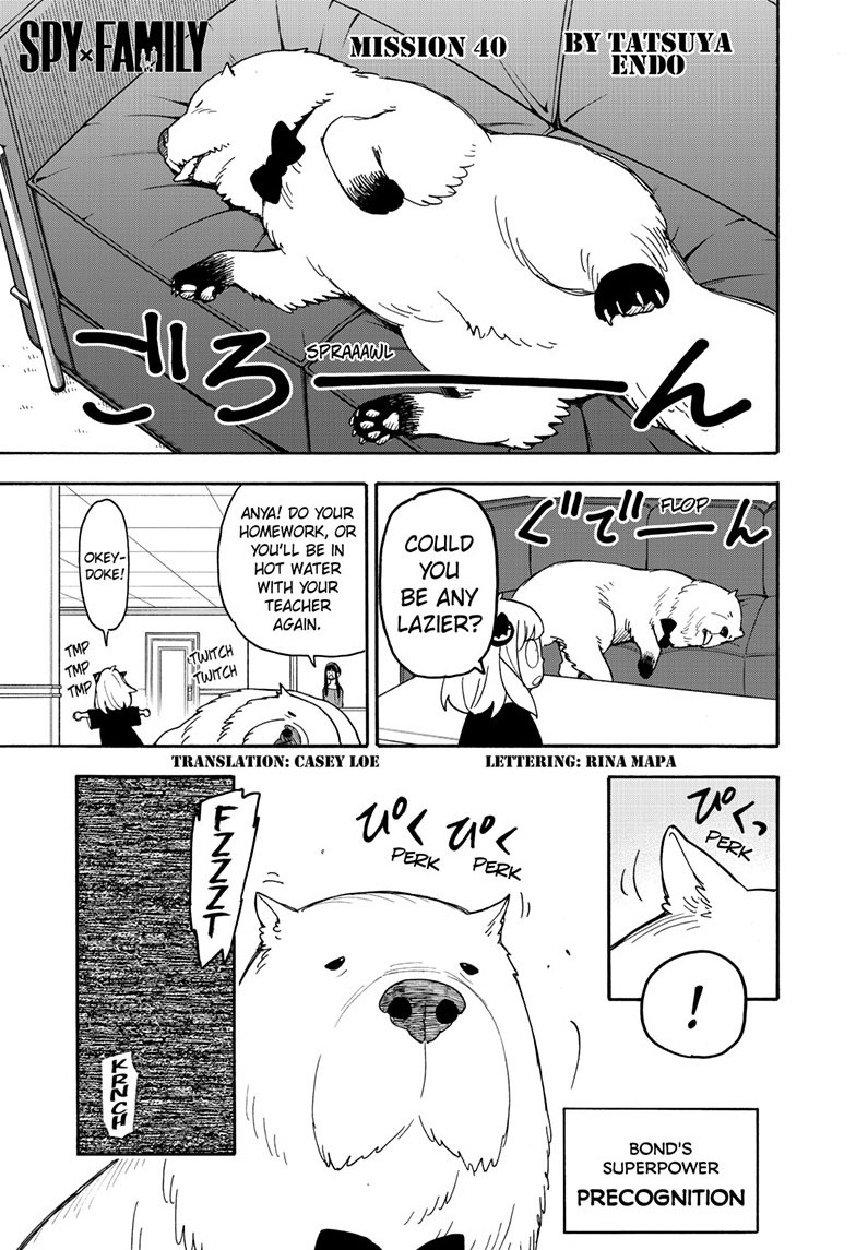 spy x family, ch. 40
