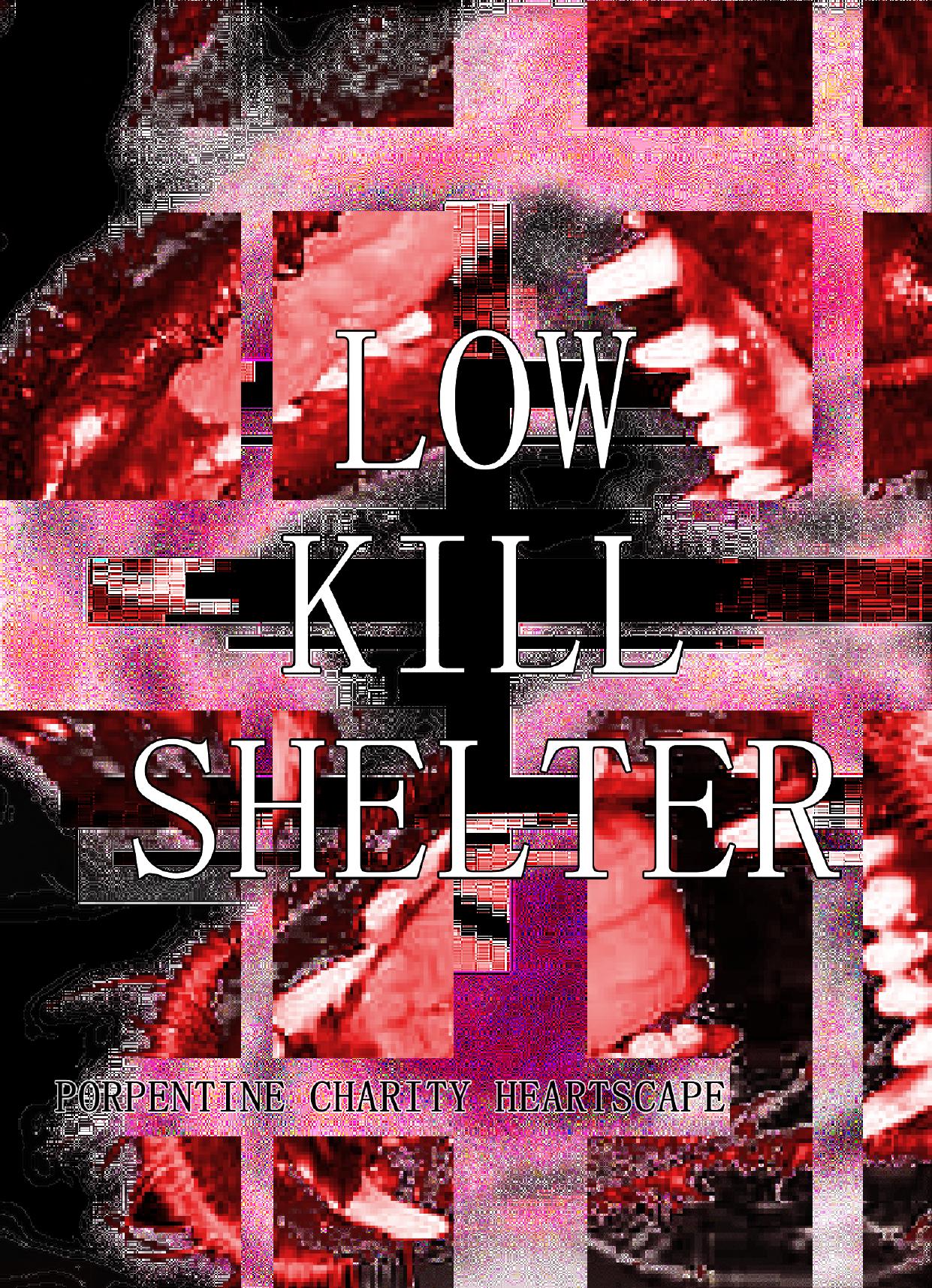 low kill shelter