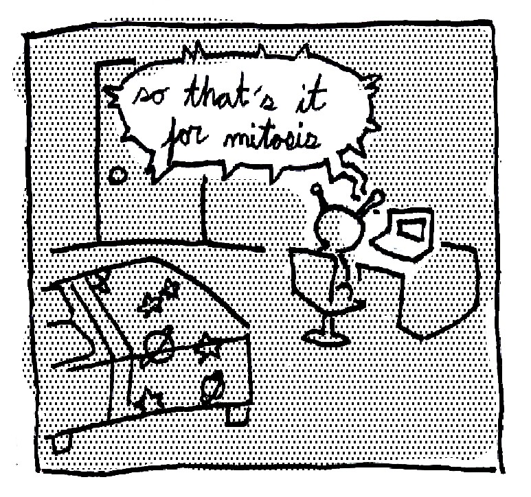 wikihow to ask a girl out when you're both studying together over imessage & you're a 7th grade boy