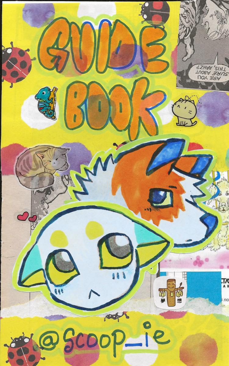guide book